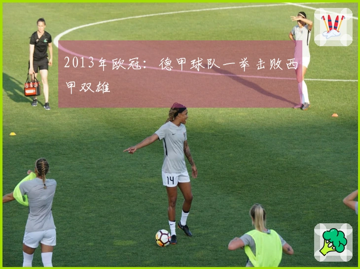 2013年欧冠：德甲球队一举击败西甲双雄